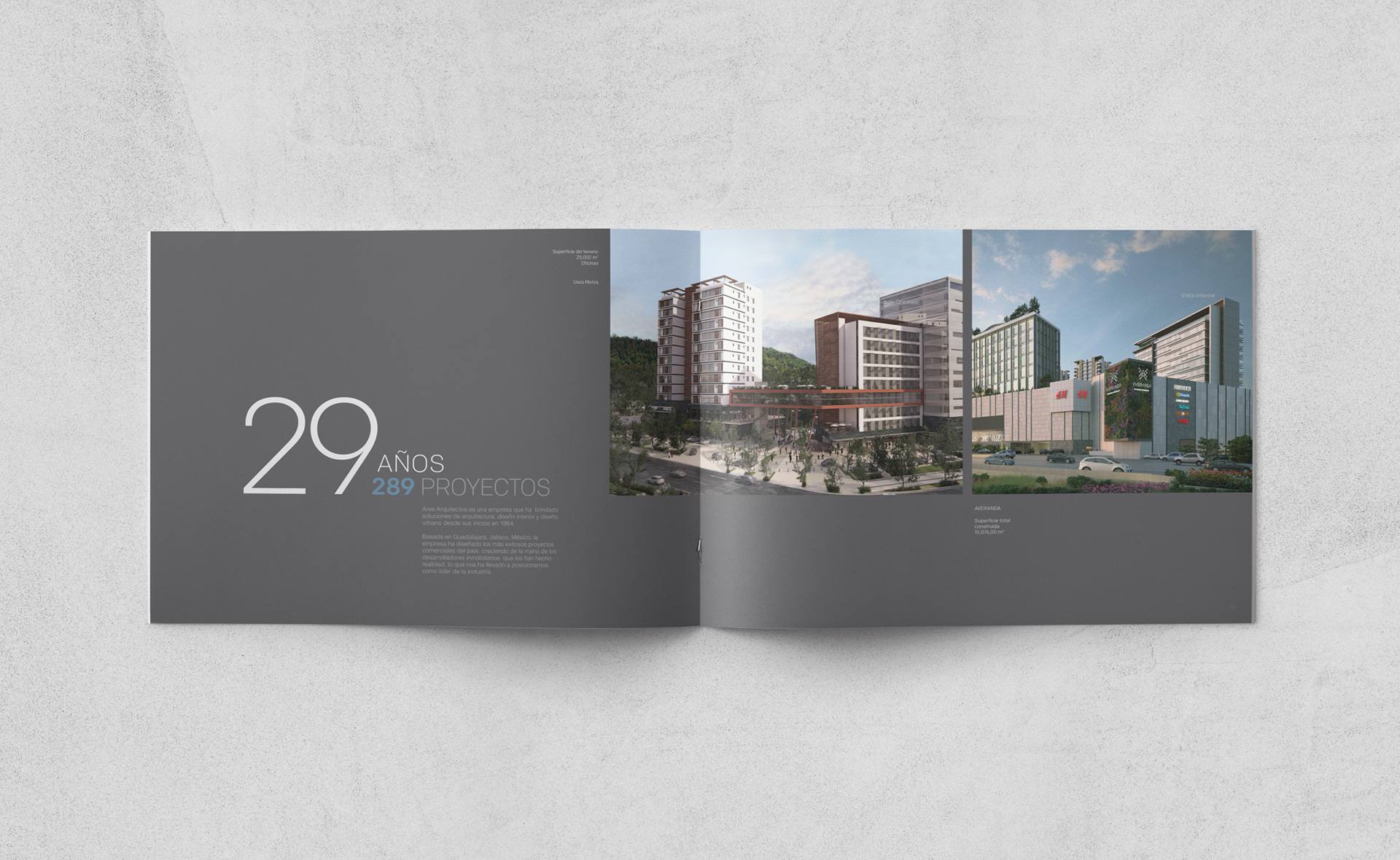 04 ar book brochure identidad corporativa marca logo guadalajara buro3 agencia publicidad